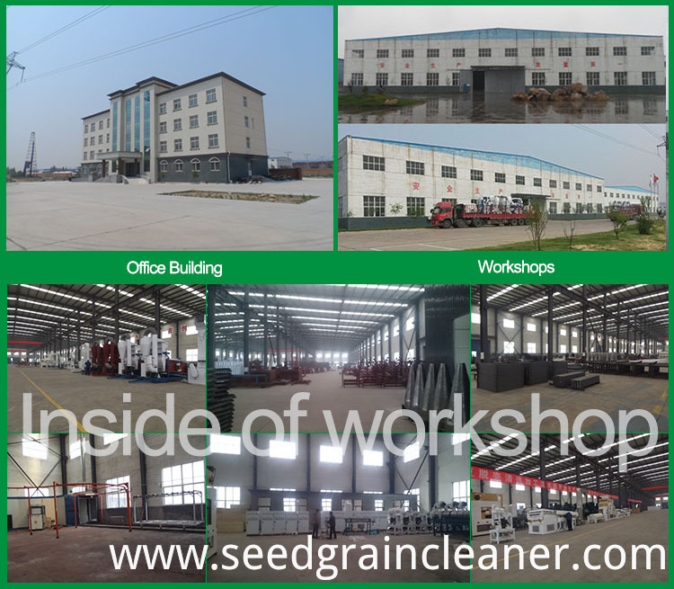 Ruixue Factory And Workshop Ruixue Factory And Workshop